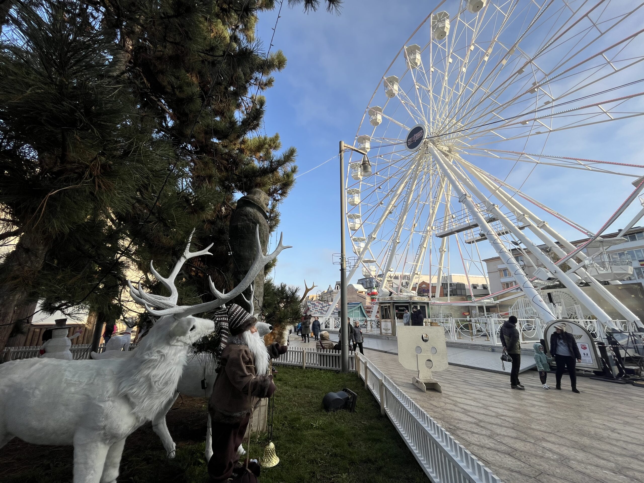 Автобусни програми до Крайова
